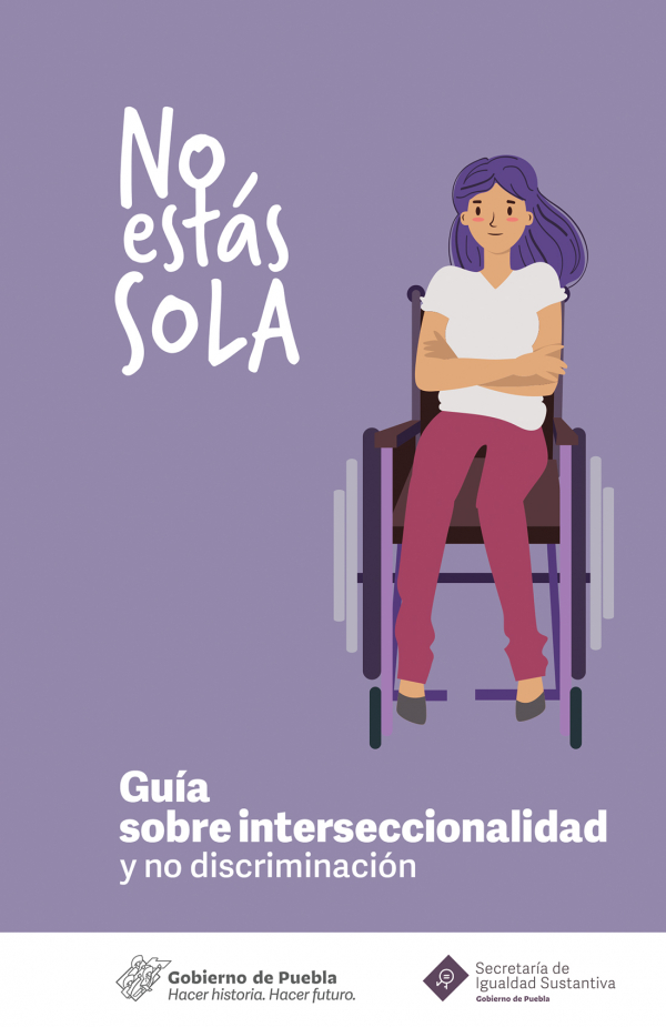 Guía sobre Interseccionalidad y no Discriminación