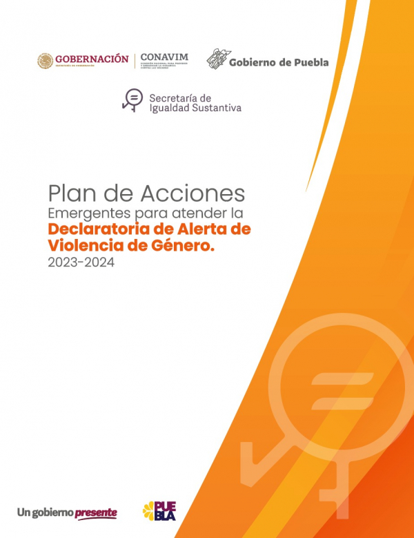 PLAN DE ACCIONES EMERGENTES DAVGM 2023-2024