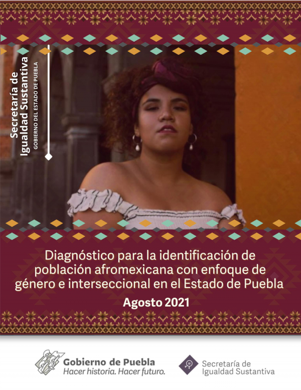 Diagnóstico para la identificación de población afromexicana con enfoque de género e interseccional en el Estado de Puebla -Agosto 2021-